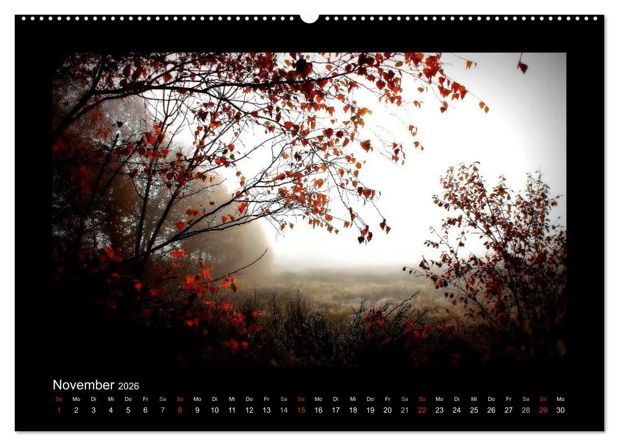 Bild: 9783516219647 | Landschaft Teufelsmoor / 2026 (hochwertiger Premium Wandkalender...