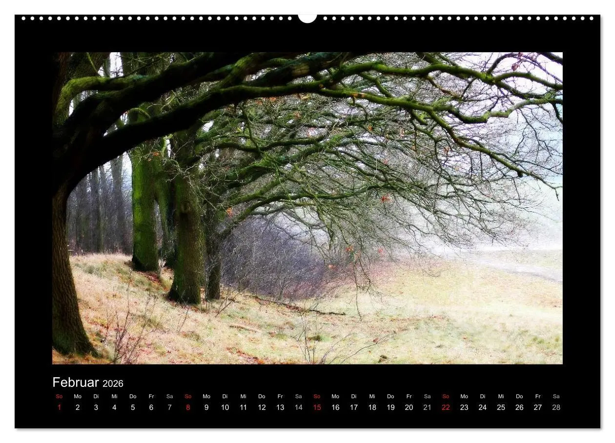 Bild: 9783516219647 | Landschaft Teufelsmoor / 2026 (hochwertiger Premium Wandkalender...