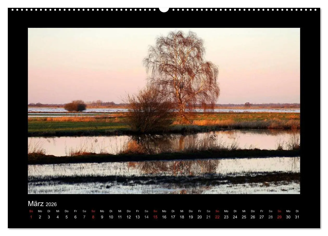 Bild: 9783516219647 | Landschaft Teufelsmoor / 2026 (hochwertiger Premium Wandkalender...