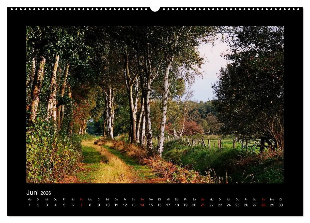 Bild: 9783516219647 | Landschaft Teufelsmoor / 2026 (hochwertiger Premium Wandkalender...