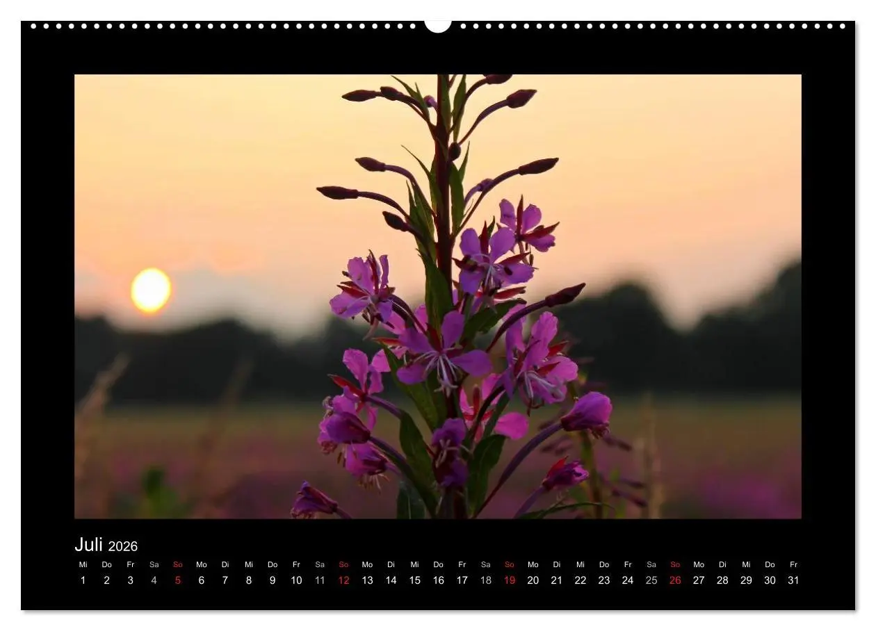 Bild: 9783516219647 | Landschaft Teufelsmoor / 2026 (hochwertiger Premium Wandkalender...