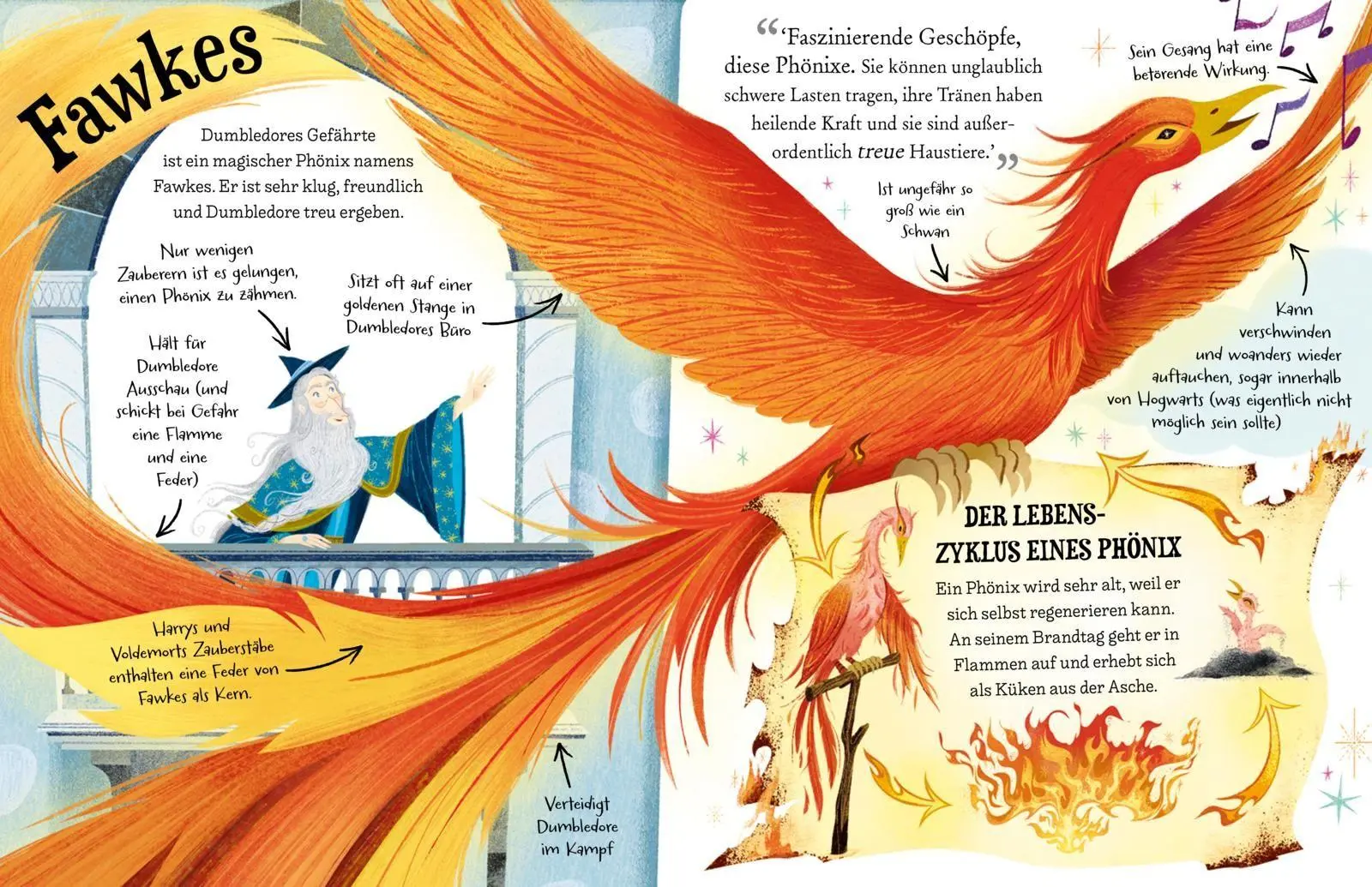 Bild: 9783551559647 | Potter Guides: Professor Dumbledore | J. K. Rowling | Buch | 32 S.