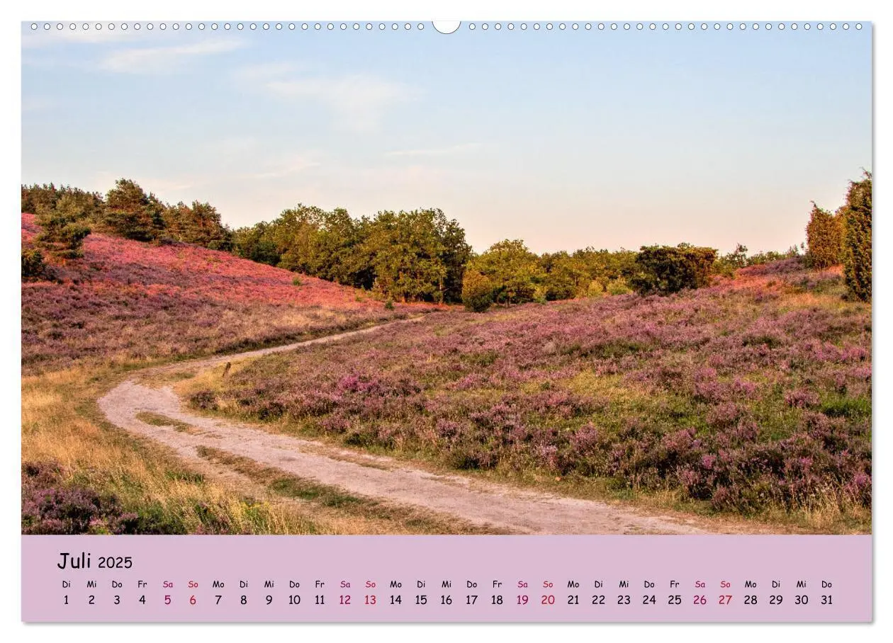 Bild: 9783435029747 | Lüneburger Heide Wege (Wandkalender 2025 DIN A2 quer), CALVENDO...