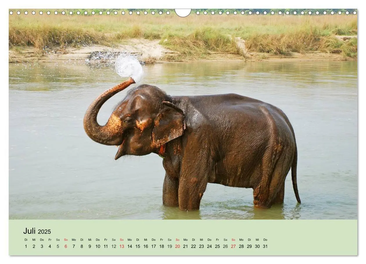 Bild: 9783435719747 | Elefanten. Badespaß am Strand (Wandkalender 2025 DIN A3 quer),...