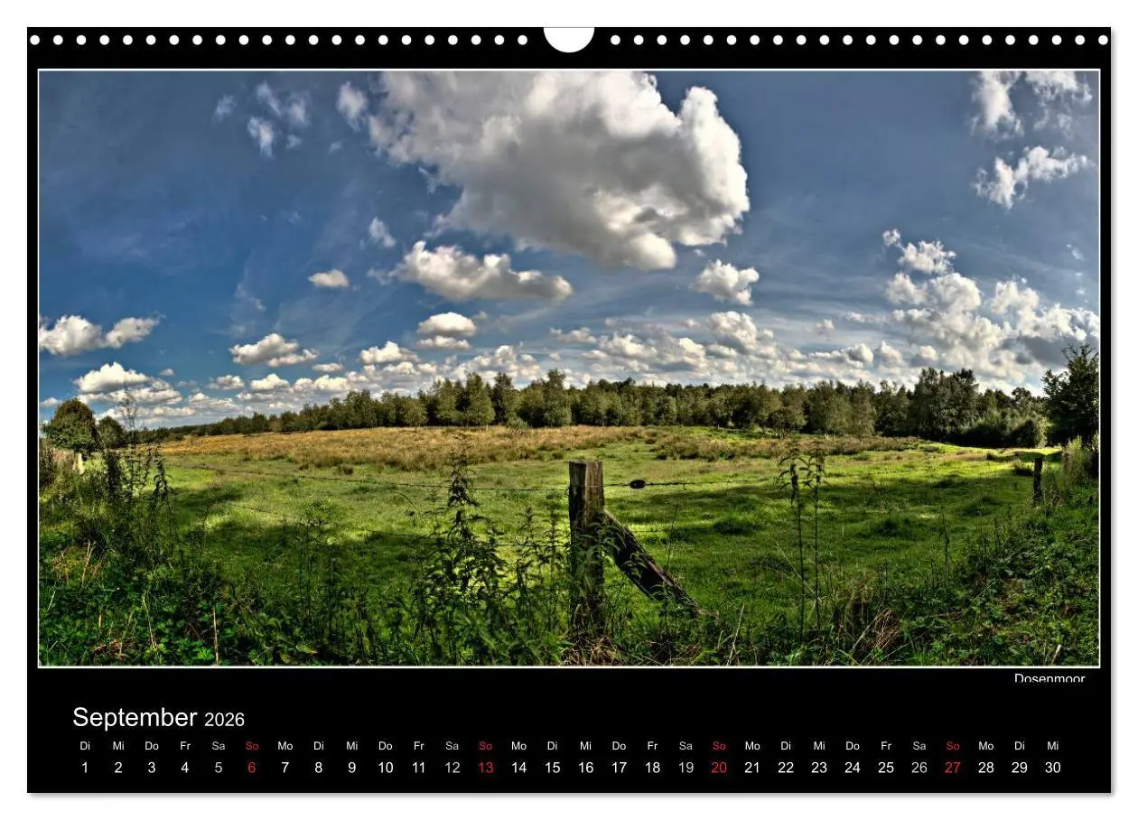 Bild: 9783516209747 | Neumünster - Meine Stadt (Wandkalender 2026 DIN A3 quer), CALVENDO...