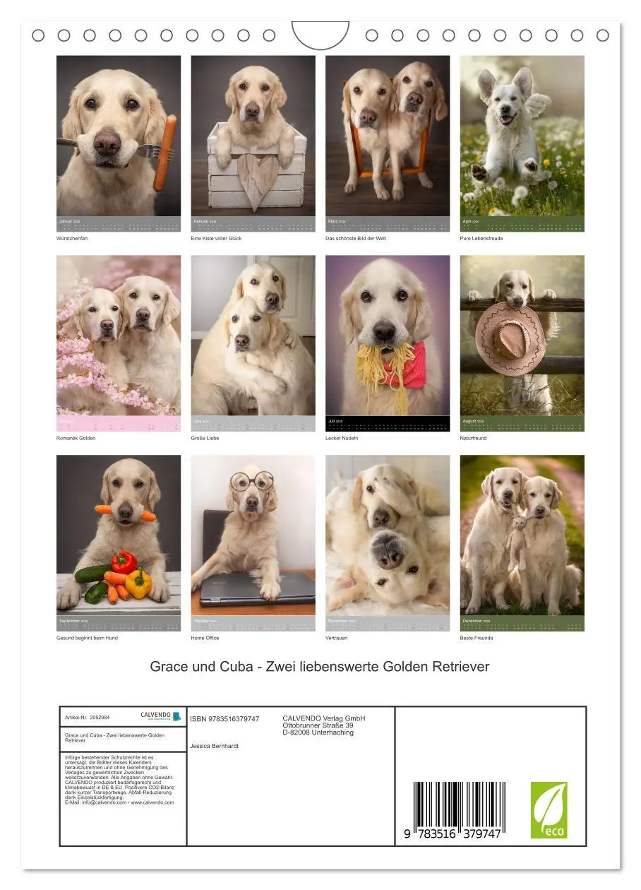 Bild: 9783516379747 | Grace und Cuba - Zwei liebenswerte Golden Retriever (Wandkalender...