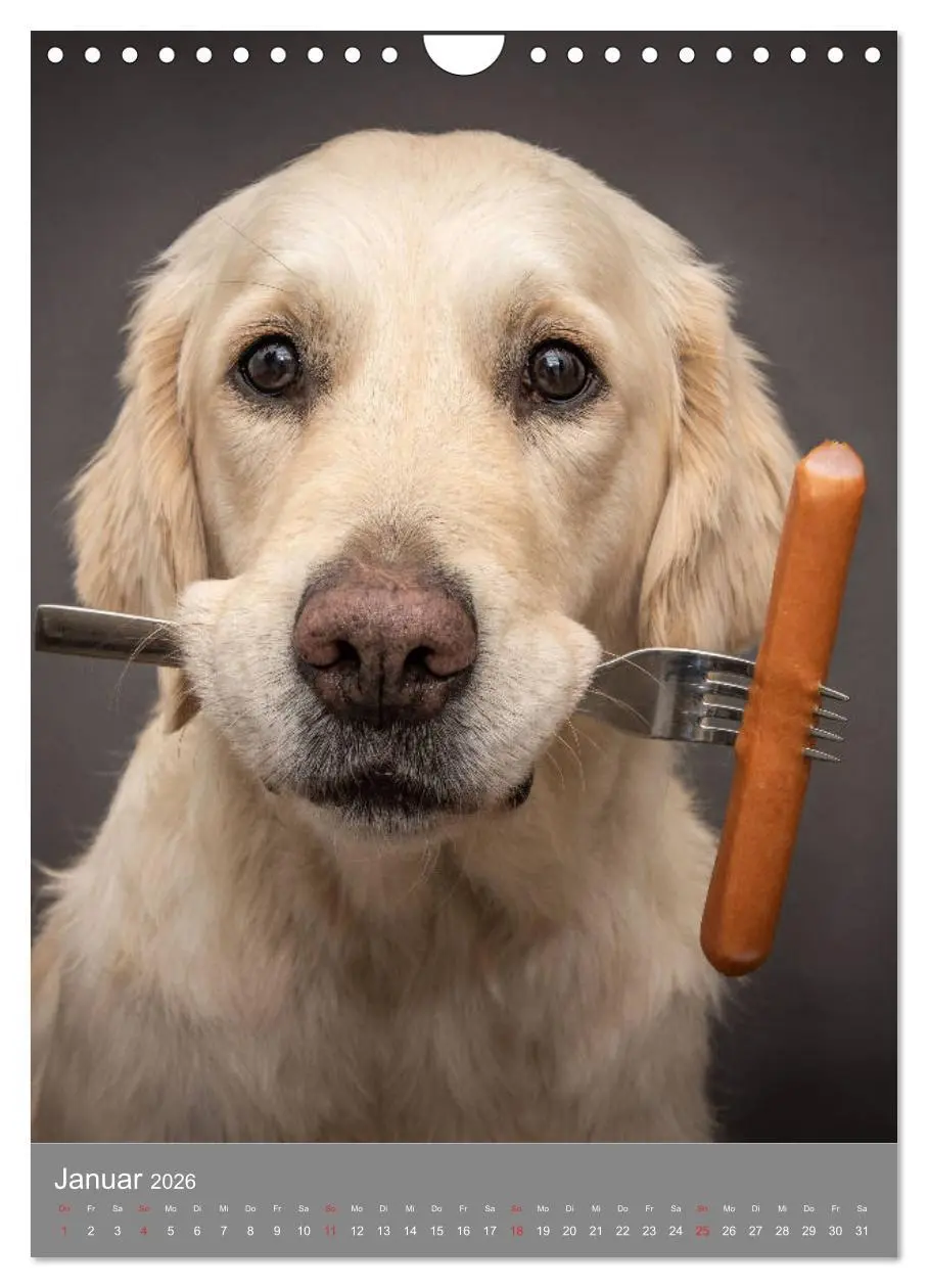 Bild: 9783516379747 | Grace und Cuba - Zwei liebenswerte Golden Retriever (Wandkalender...