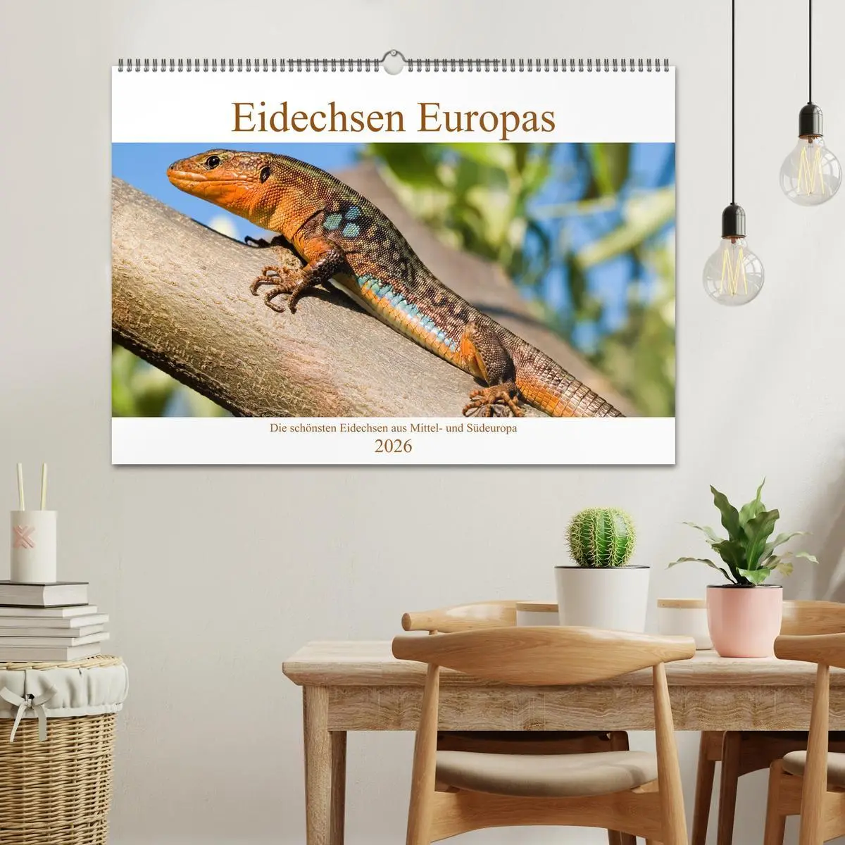 Bild: 9783457659847 | Eidechsen Europas (Wandkalender 2026 DIN A2 quer), CALVENDO...