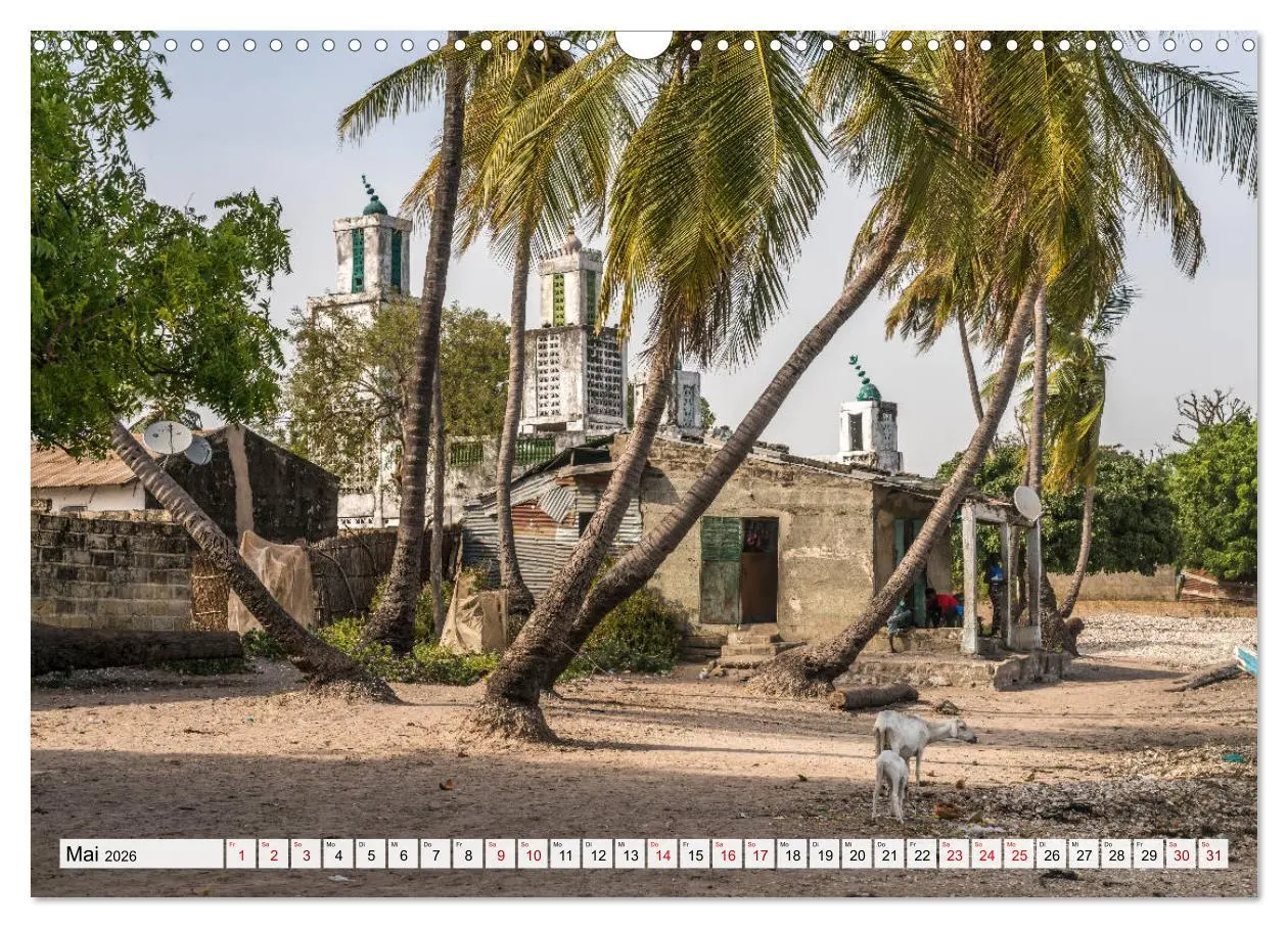 Bild: 9783457729847 | Westafrika - The Gambia (Wandkalender 2026 DIN A3 quer), CALVENDO...