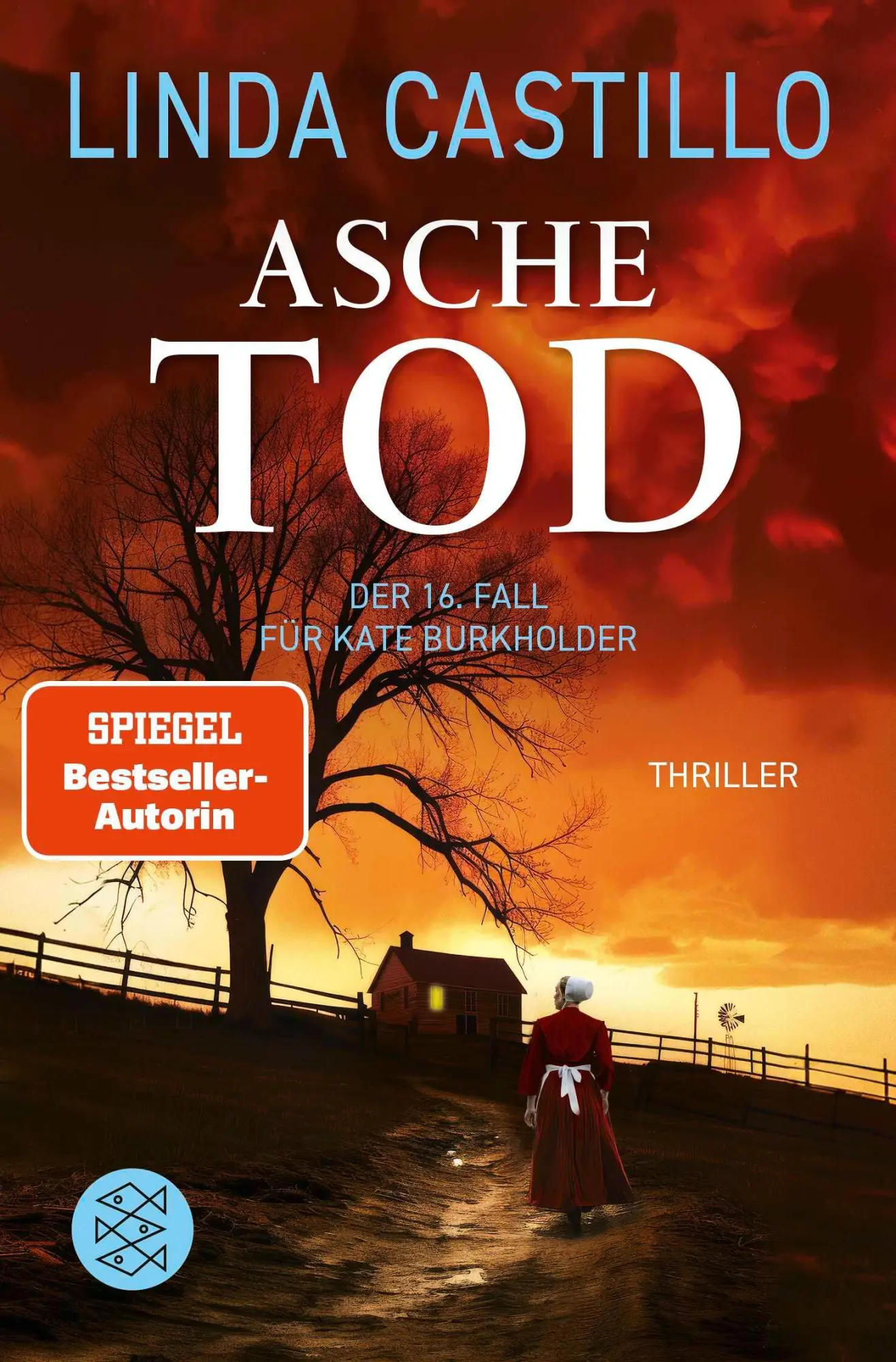 Cover: 9783596709847 | Aschetod | Thriller Spannender Thriller bei den Amischen | Castillo