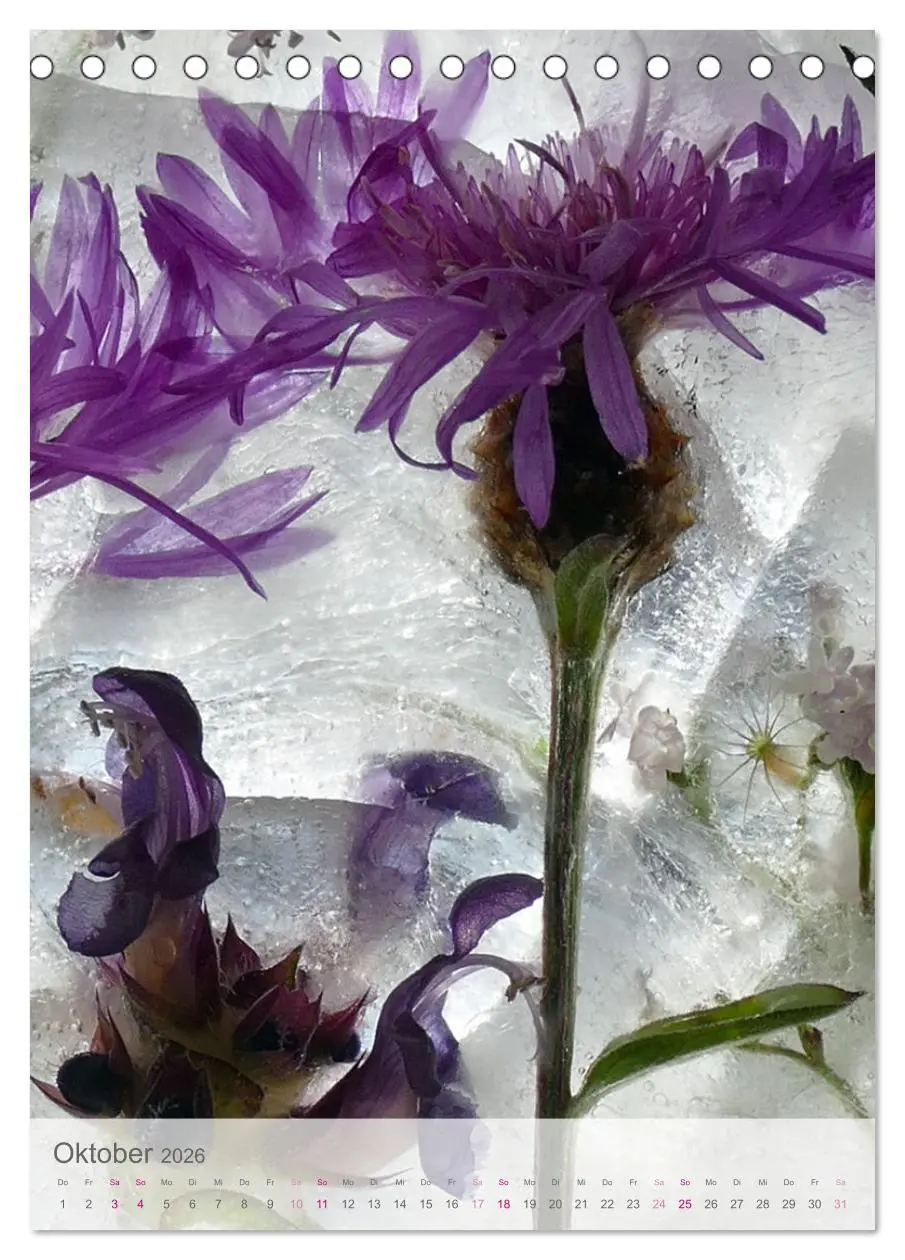 Bild: 9783516359947 | Blumen in Eis (Tischkalender 2026 DIN A5 hoch), CALVENDO...