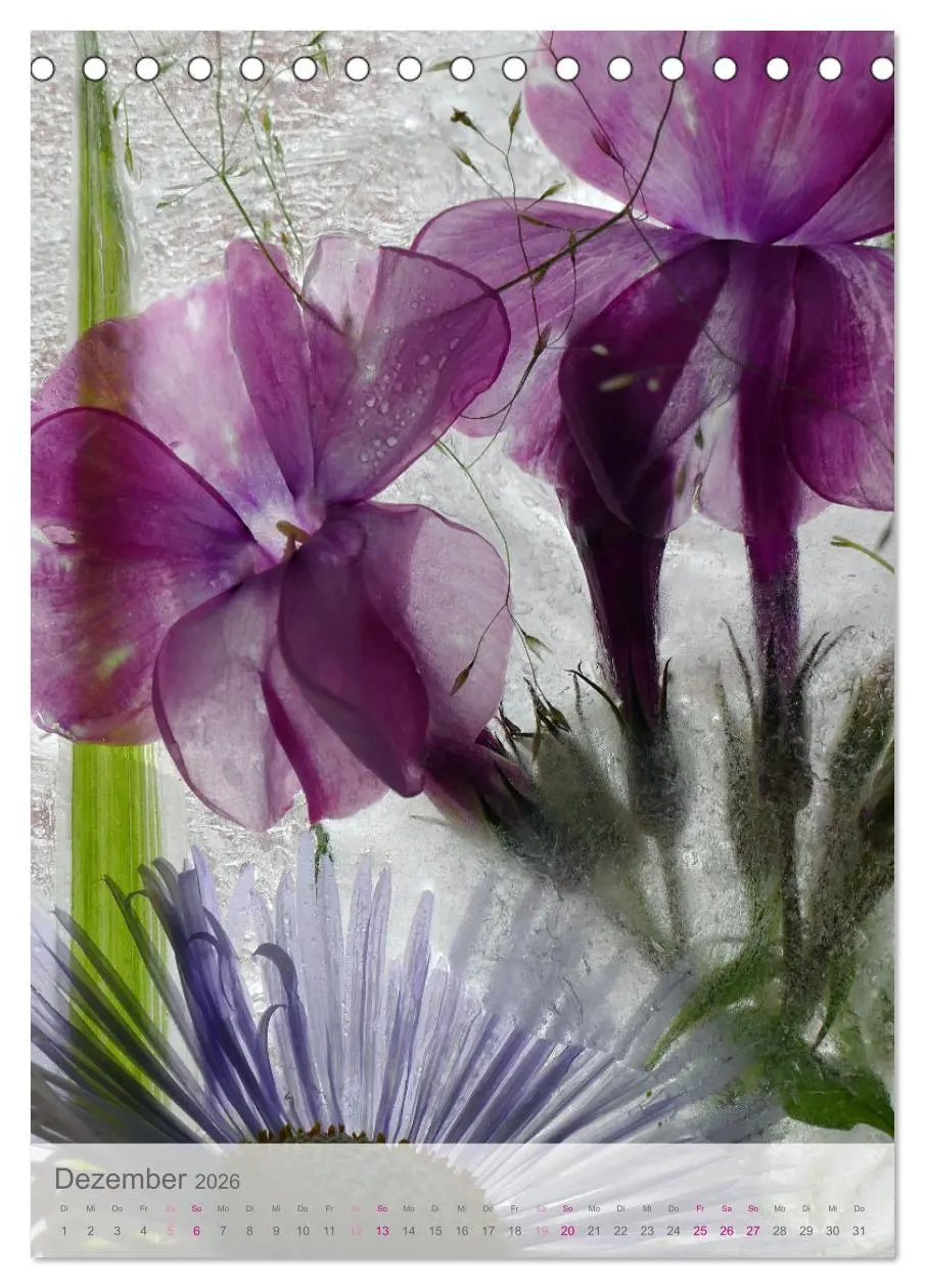 Bild: 9783516359947 | Blumen in Eis (Tischkalender 2026 DIN A5 hoch), CALVENDO...