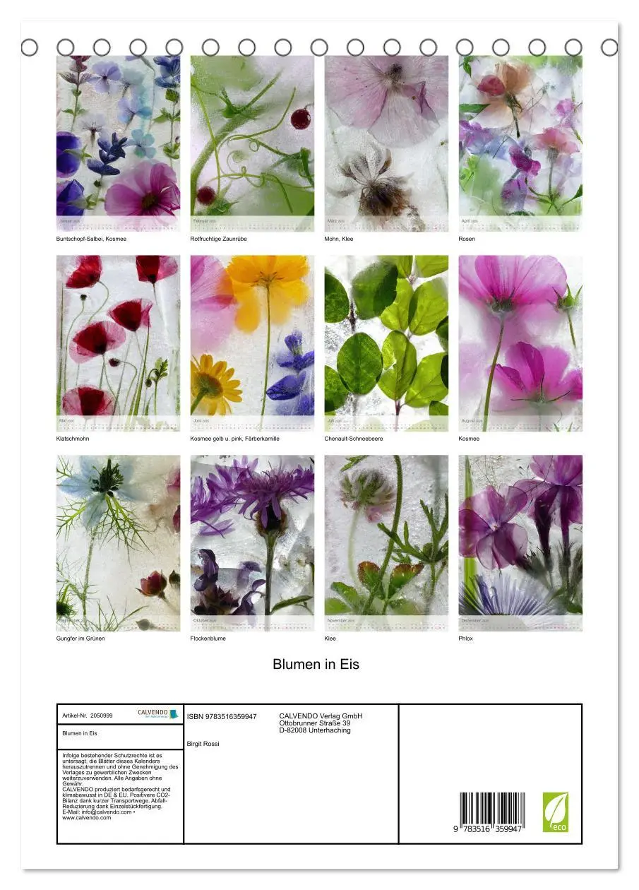Bild: 9783516359947 | Blumen in Eis (Tischkalender 2026 DIN A5 hoch), CALVENDO...