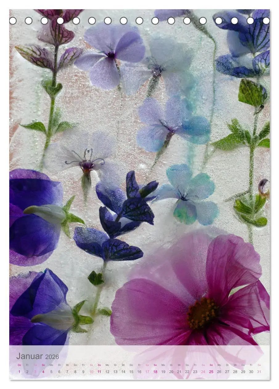 Bild: 9783516359947 | Blumen in Eis (Tischkalender 2026 DIN A5 hoch), CALVENDO...