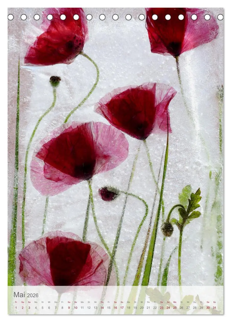 Bild: 9783516359947 | Blumen in Eis (Tischkalender 2026 DIN A5 hoch), CALVENDO...
