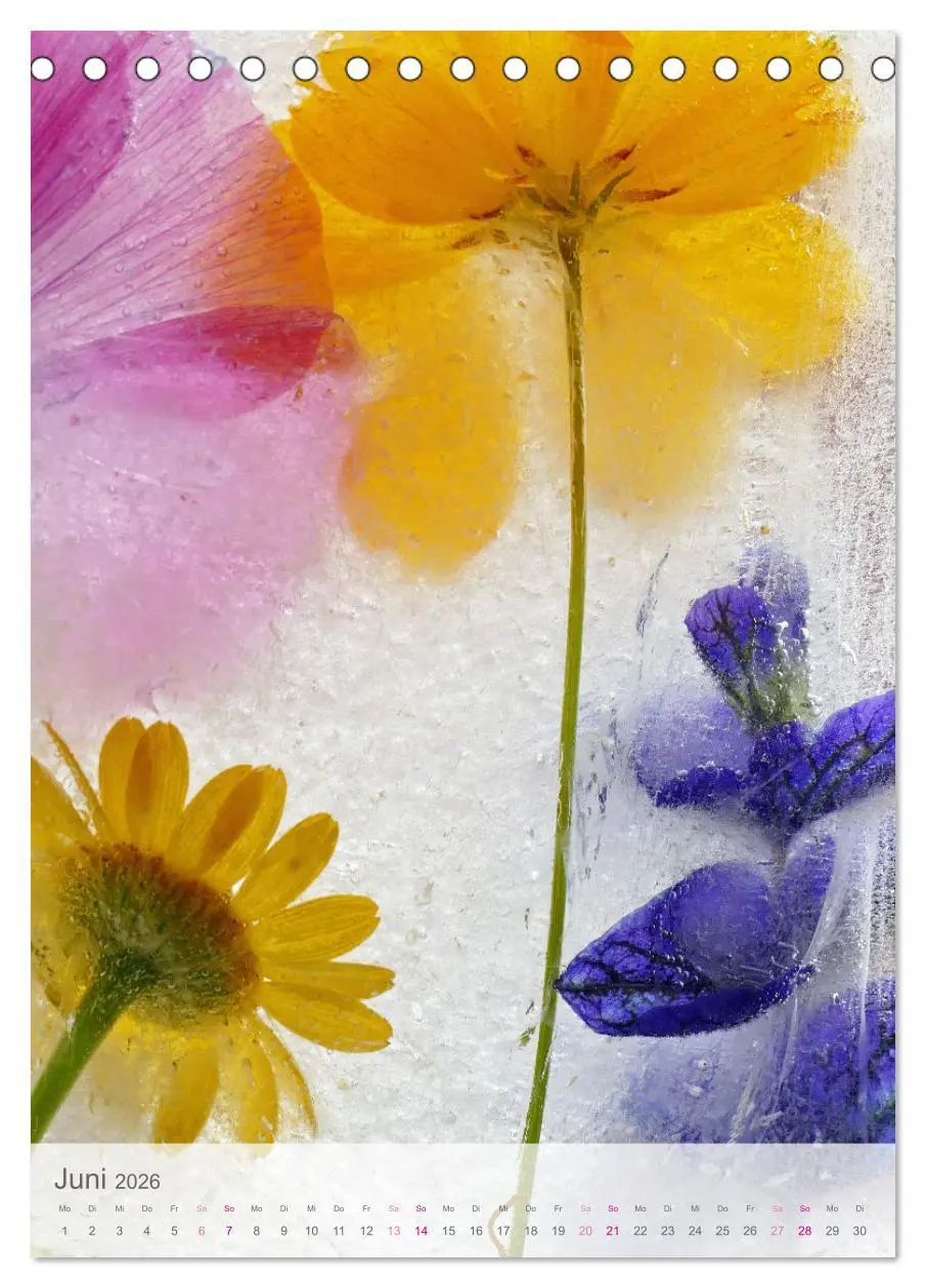Bild: 9783516359947 | Blumen in Eis (Tischkalender 2026 DIN A5 hoch), CALVENDO...