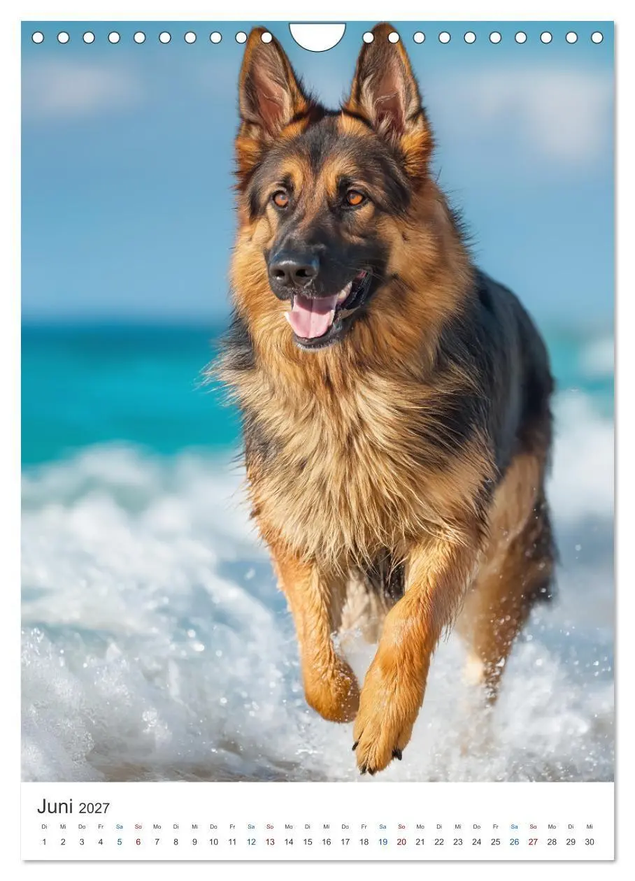 Bild: 9783516809947 | Seelenblick Schäferhund (Wandkalender 2027 DIN A4 hoch), CALVENDO...