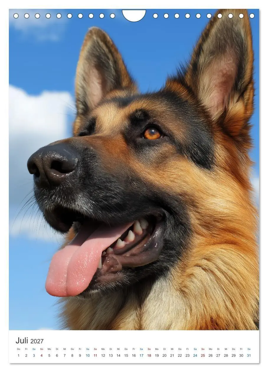 Bild: 9783516809947 | Seelenblick Schäferhund (Wandkalender 2027 DIN A4 hoch), CALVENDO...