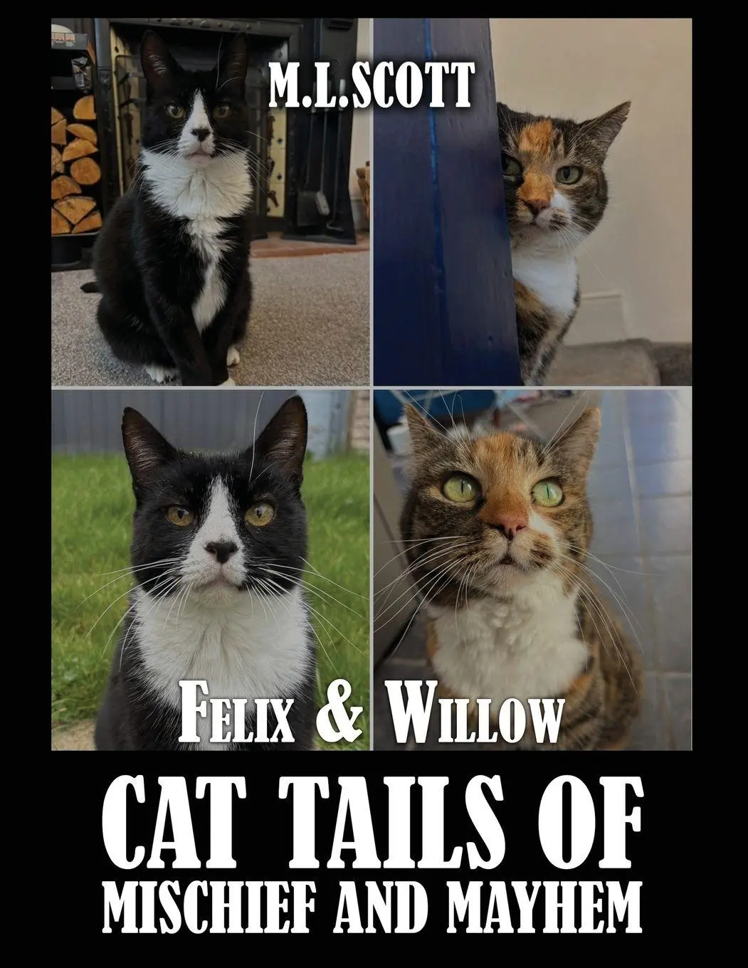 Cover: 9788058179947 | Felix &amp; Willow cat tails of mischief and mayhem | M. L. Scott | Buch