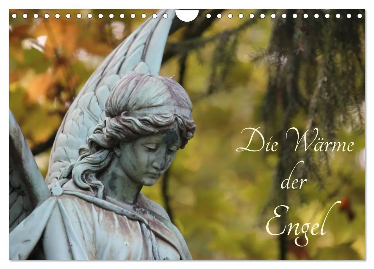 Cover: 9783457380048 | Die Wärme der Engel (Wandkalender 2026 DIN A4 quer), CALVENDO...