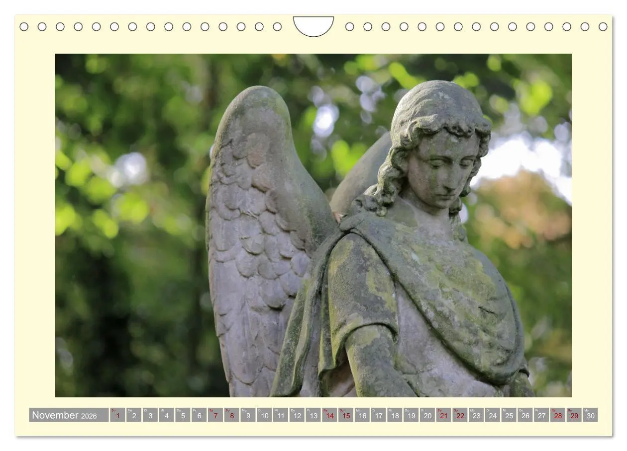 Bild: 9783457380048 | Die Wärme der Engel (Wandkalender 2026 DIN A4 quer), CALVENDO...