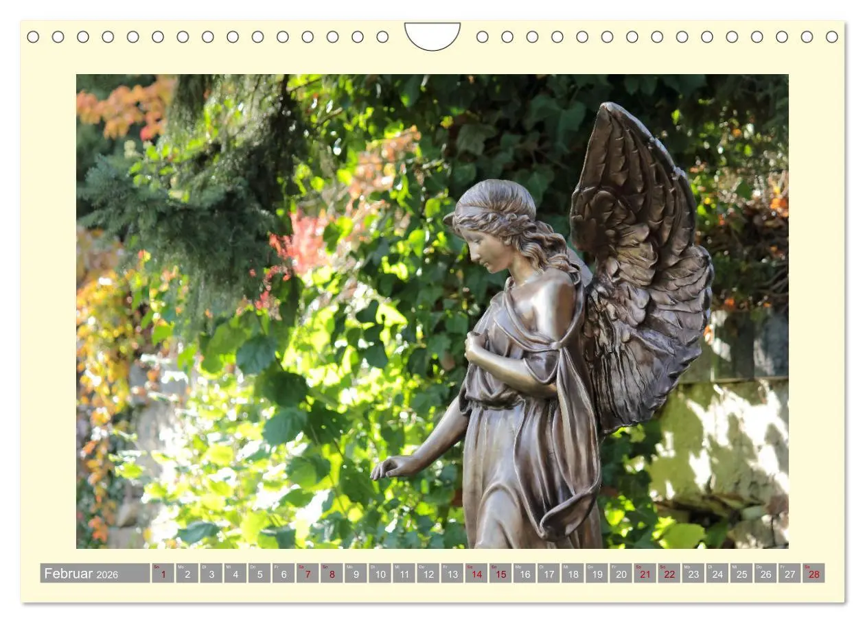 Bild: 9783457380048 | Die Wärme der Engel (Wandkalender 2026 DIN A4 quer), CALVENDO...