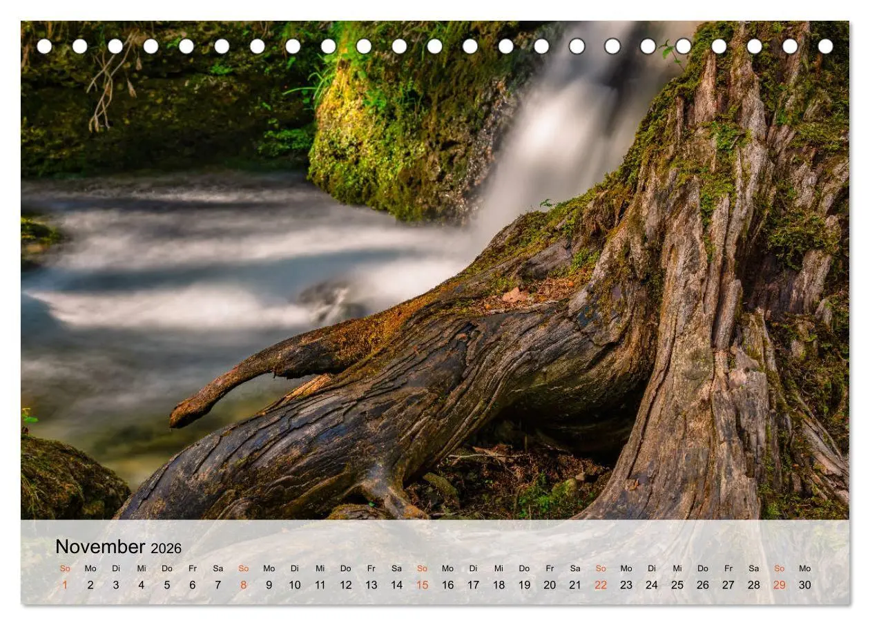Bild: 9783457690048 | Licht im Allgäu - Traumhafte Landschaften (Tischkalender 2026 DIN...