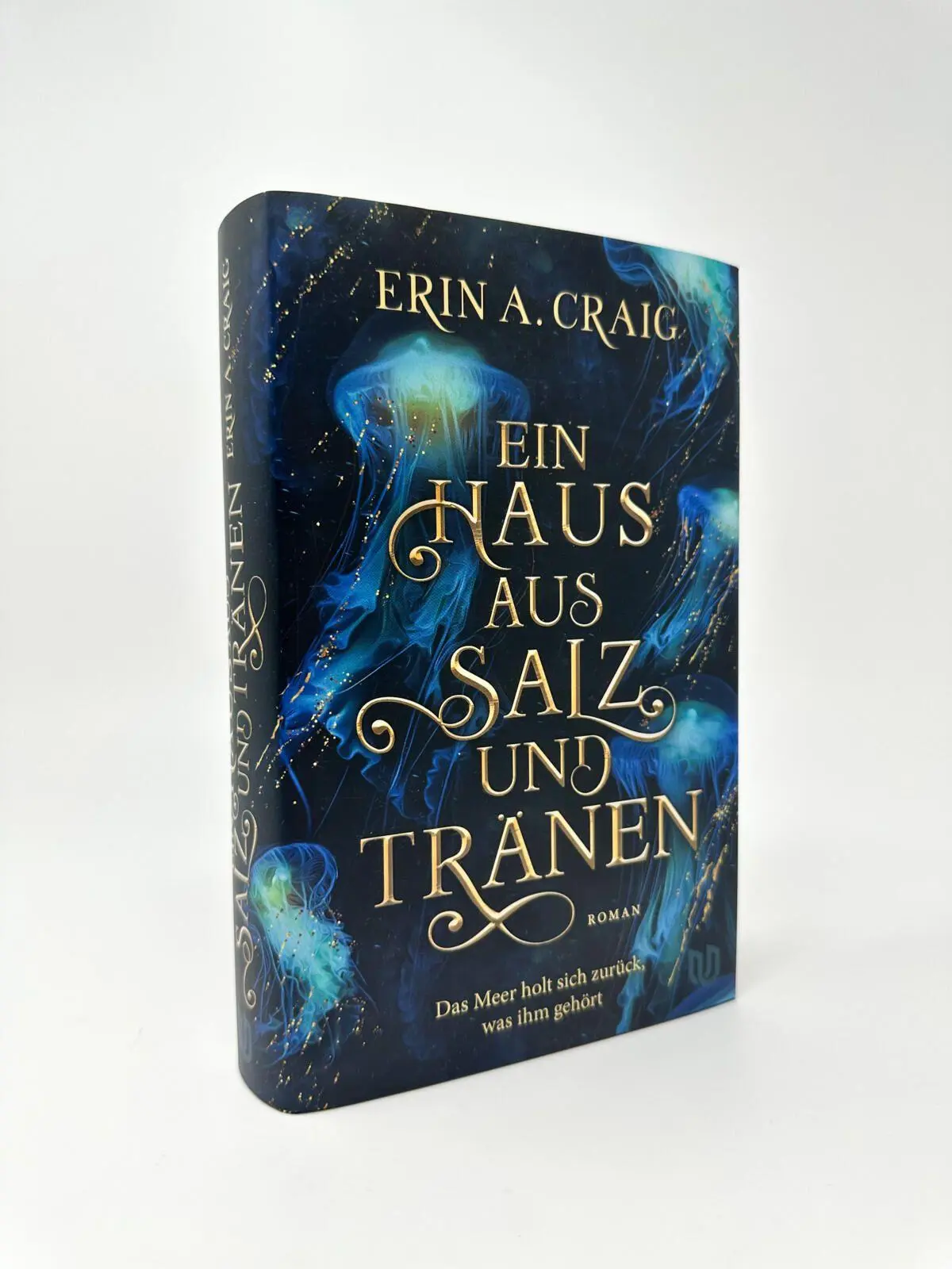 Bild: 9783690860048 | Ein Haus aus Salz und Tränen | Erin A. Craig | Buch | 480 S. | Deutsch
