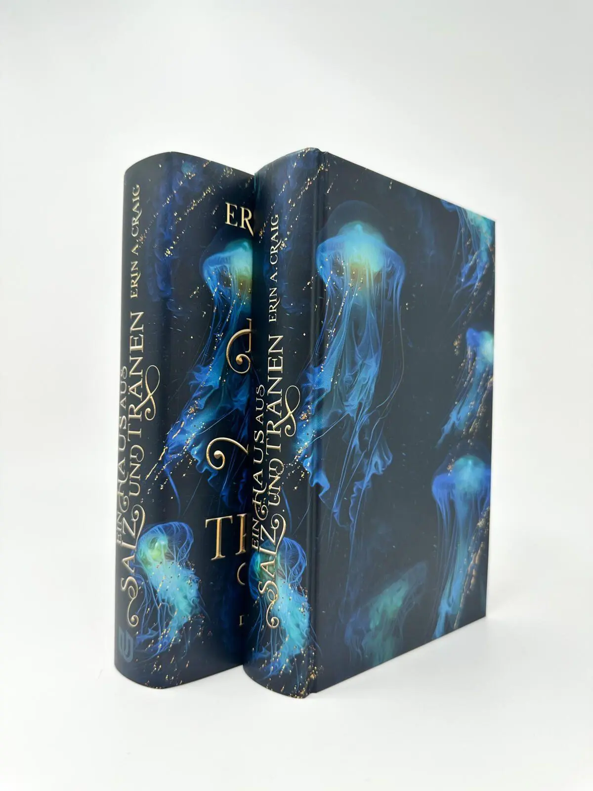 Bild: 9783690860048 | Ein Haus aus Salz und Tränen | Erin A. Craig | Buch | 480 S. | Deutsch