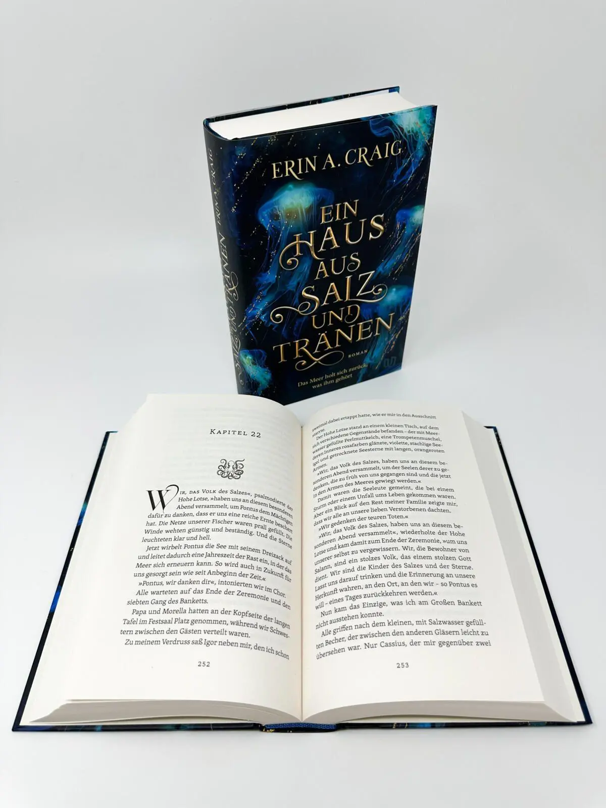 Bild: 9783690860048 | Ein Haus aus Salz und Tränen | Erin A. Craig | Buch | 480 S. | Deutsch