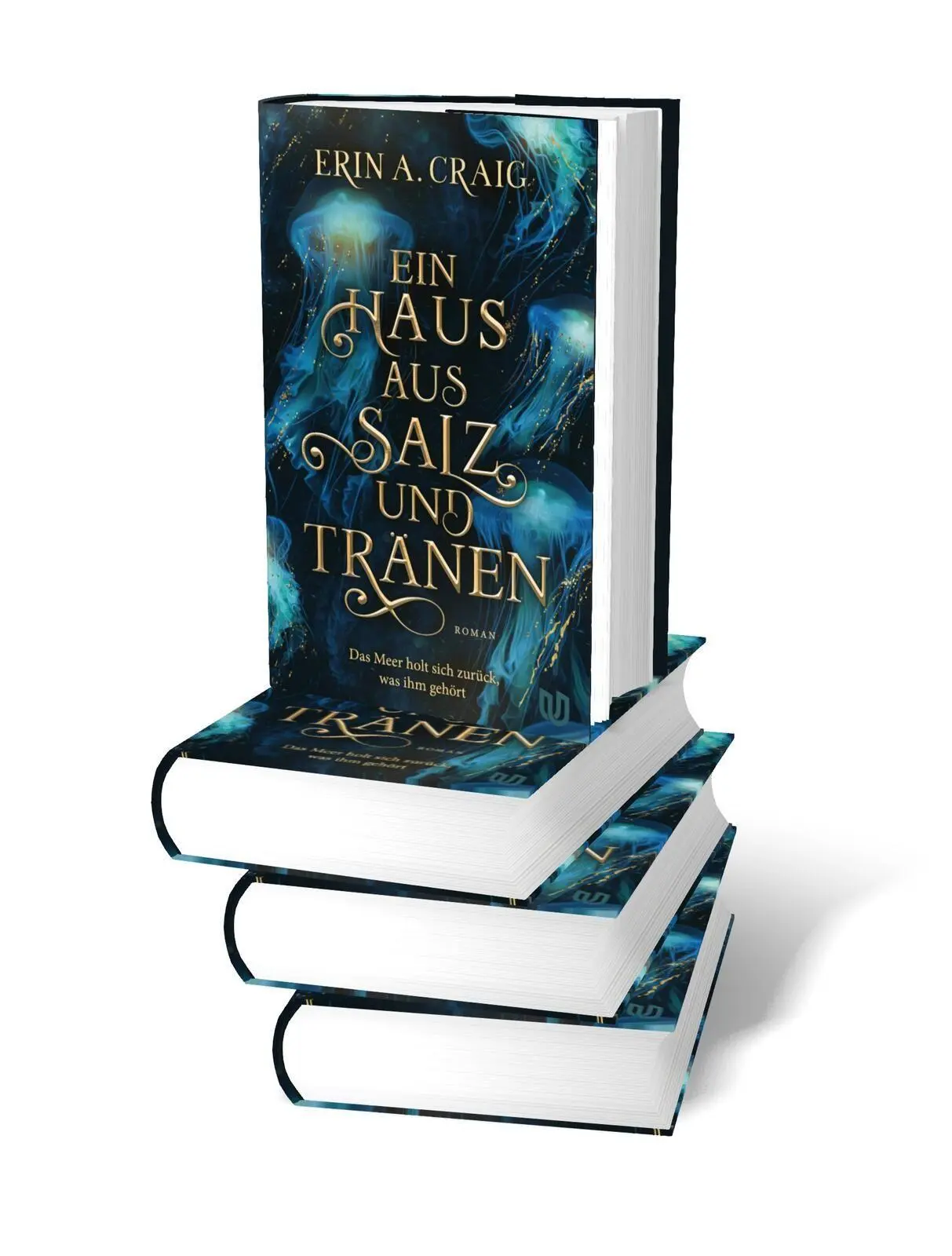 Bild: 9783690860048 | Ein Haus aus Salz und Tränen | Erin A. Craig | Buch | 480 S. | Deutsch