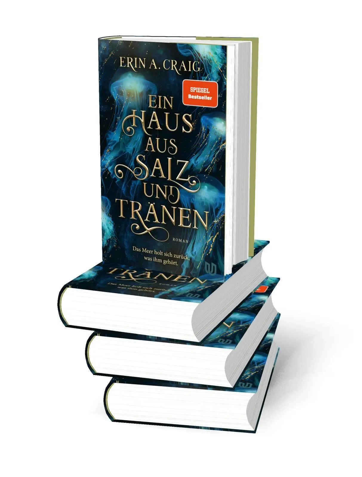 Bild: 9783690860048 | Ein Haus aus Salz und Tränen | Roman | Erin A. Craig | Buch | 480 S.