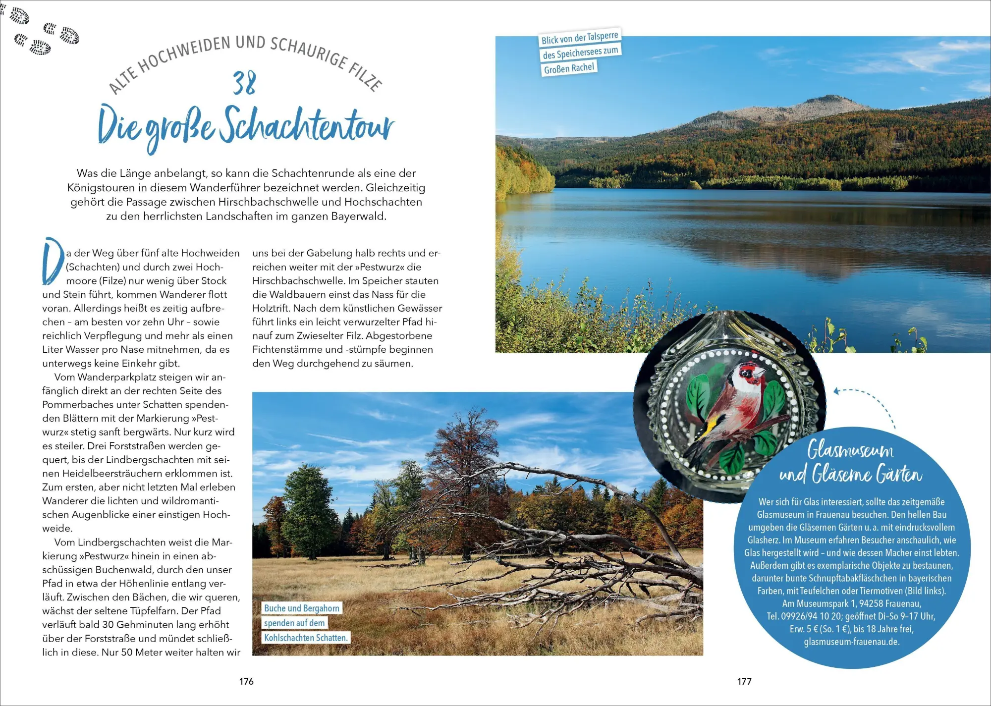 Bild: 9783987030048 | Wanderparadies Bayerischer Wald | Herwig Slezak (u. a.) | Taschenbuch