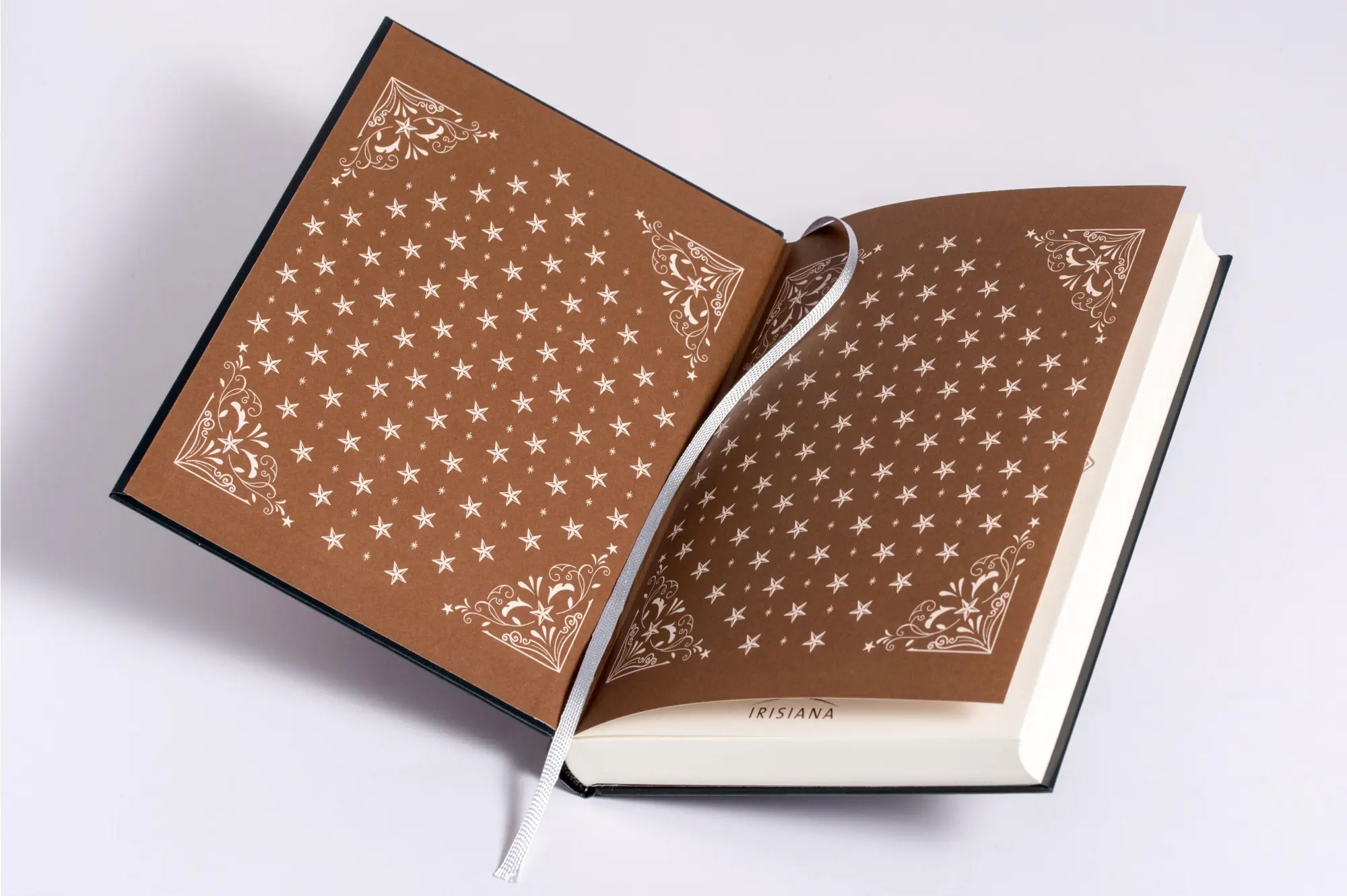 Bild: 4250939900148 | Mein Tarot und Orakel Journal | Selena Moon | Buch | 208 S. | Deutsch