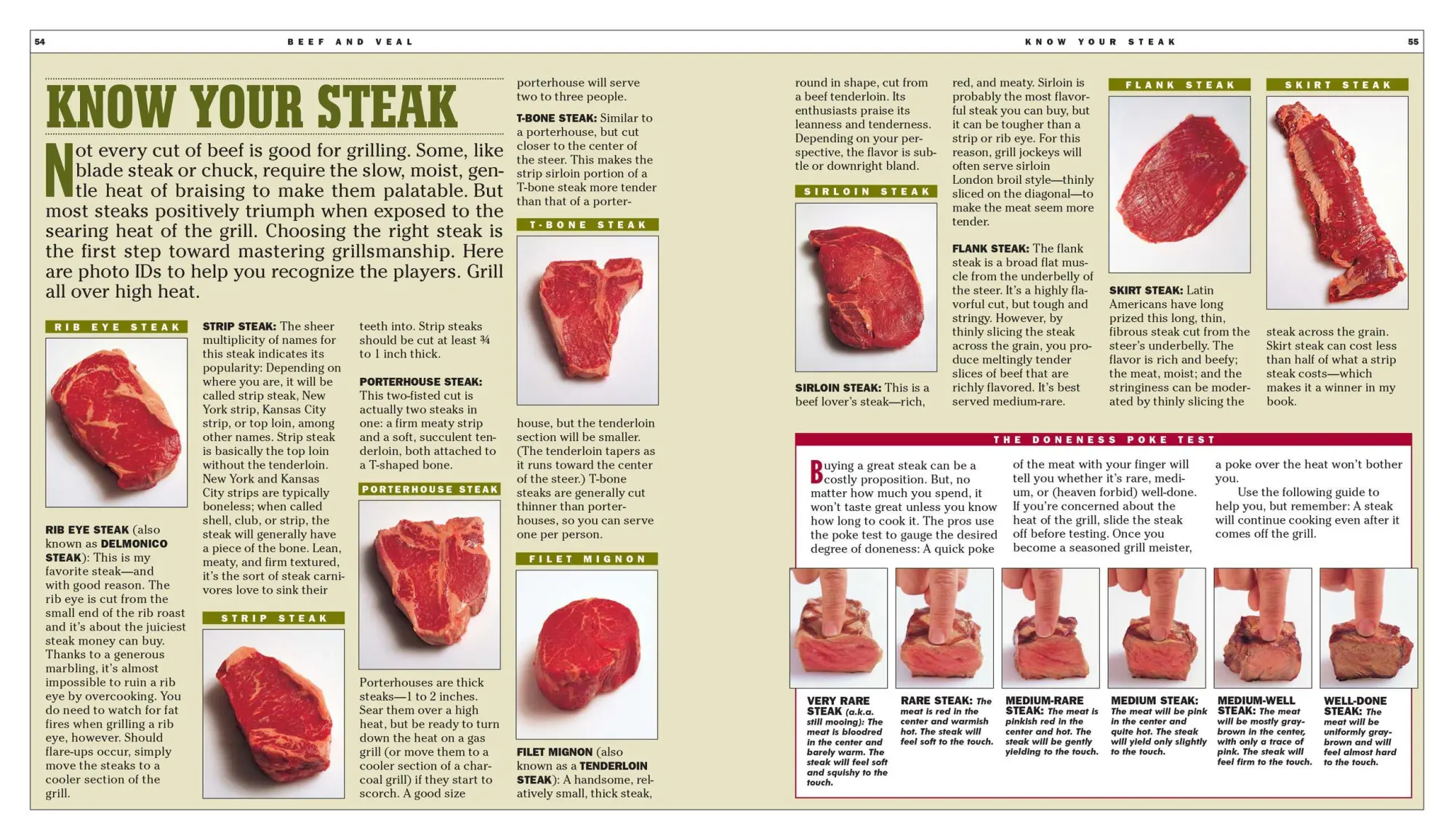 Bild: 9780761120148 | How to Grill | Steven Raichlen | Taschenbuch | Kartoniert / Broschiert