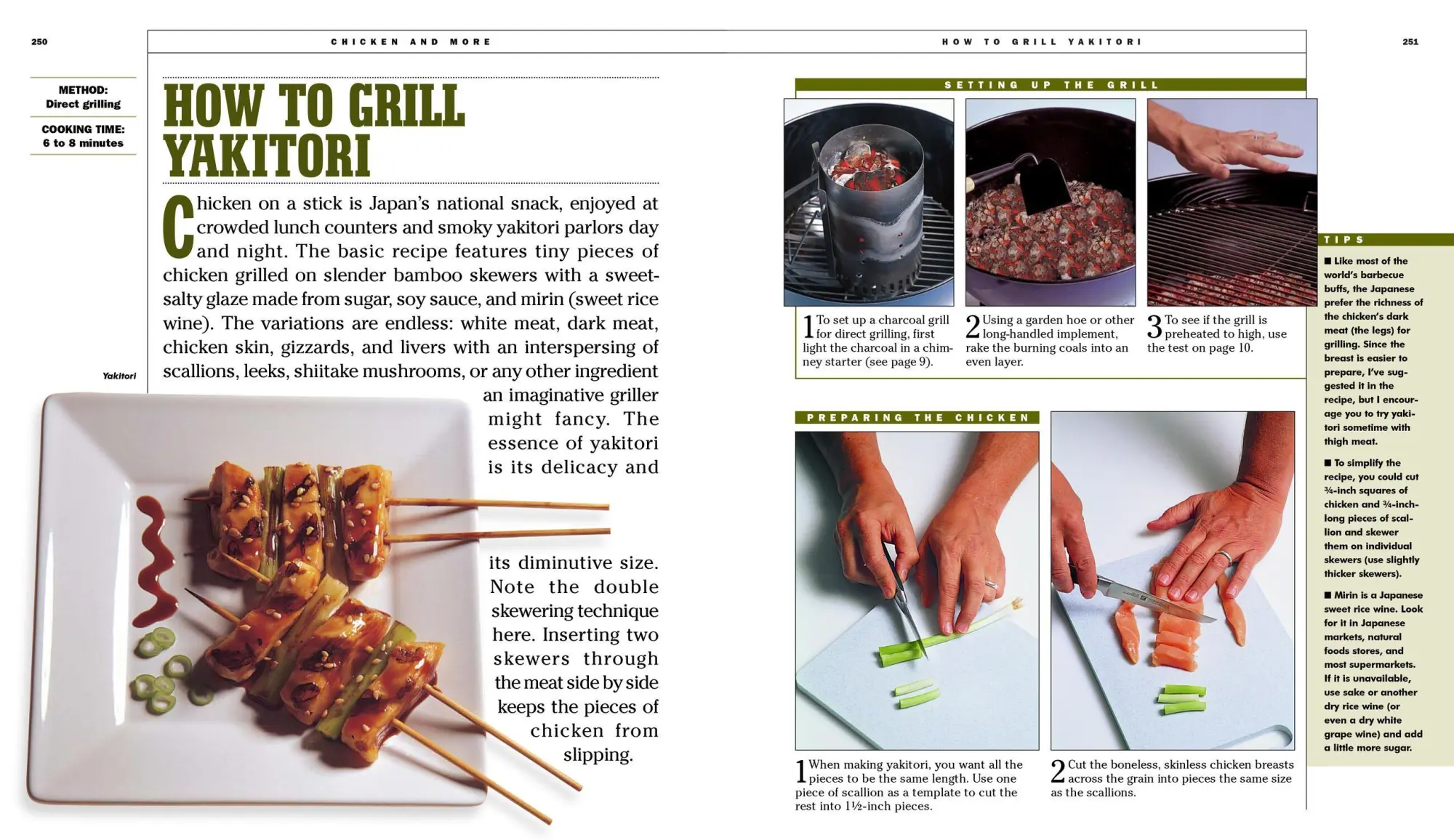 Bild: 9780761120148 | How to Grill | Steven Raichlen | Taschenbuch | Kartoniert / Broschiert