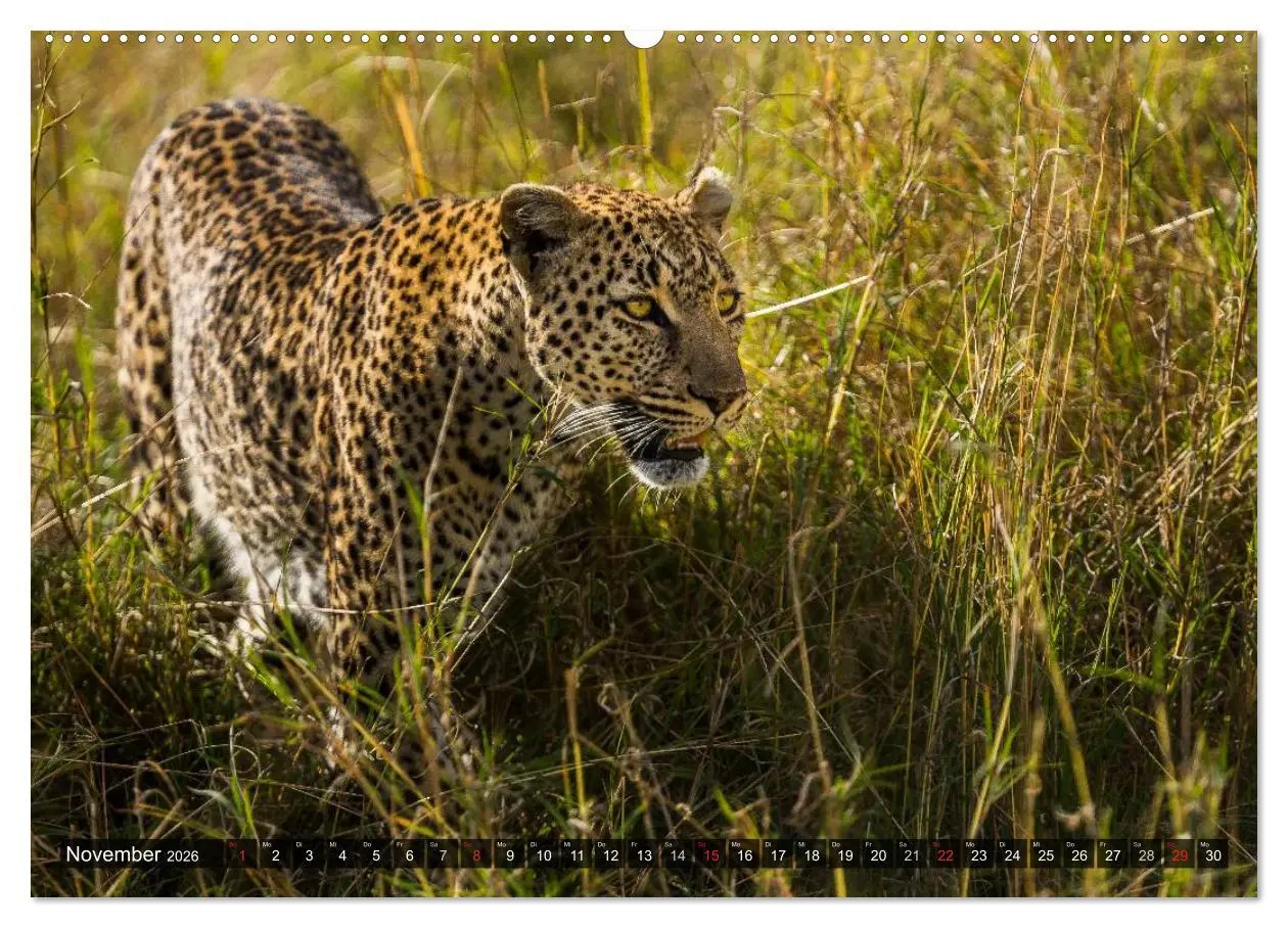 Bild: 9783516150148 | Kenia 2026 (hochwertiger Premium Wandkalender 2026 DIN A2 quer),...