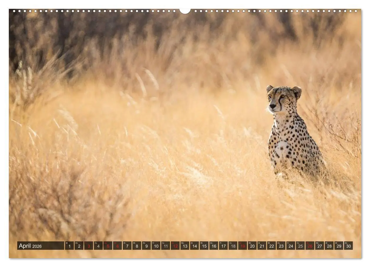Bild: 9783516150148 | Kenia 2026 (hochwertiger Premium Wandkalender 2026 DIN A2 quer),...