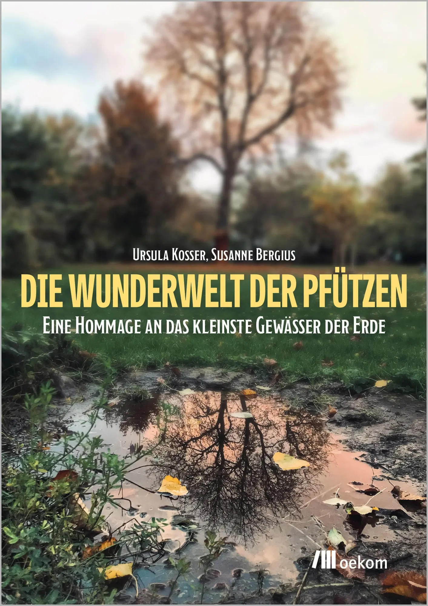 Cover: 9783987260148 | Die Wunderwelt der Pfützen | Ursula Kosser (u. a.) | Taschenbuch