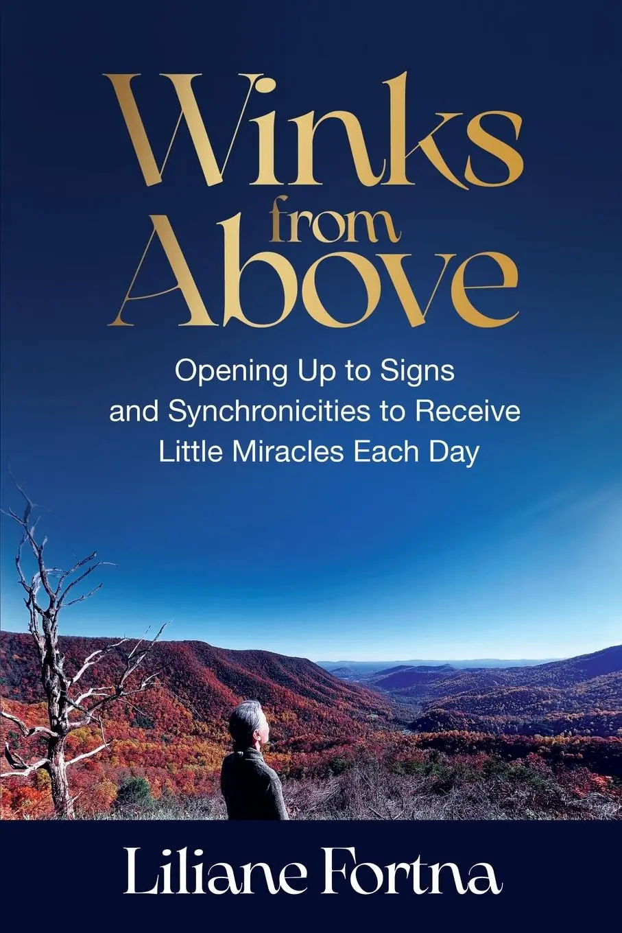 Cover: 9781954920248 | Winks from Above | Liliane Fortna | Taschenbuch | Englisch | 2022