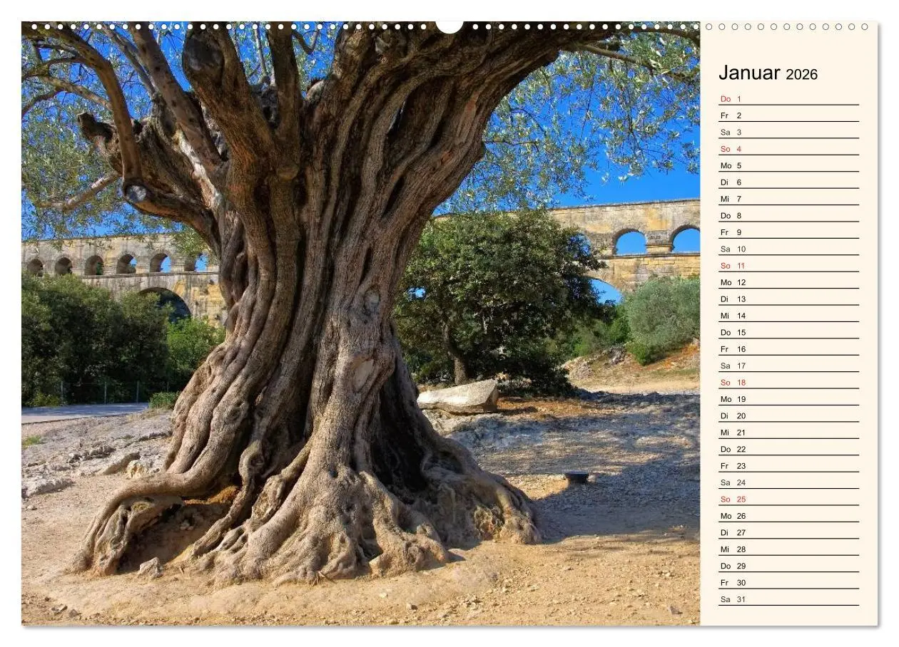 Bild: 9783457980248 | Verzaubernde Provence (Wandkalender 2026 DIN A2 quer), CALVENDO...