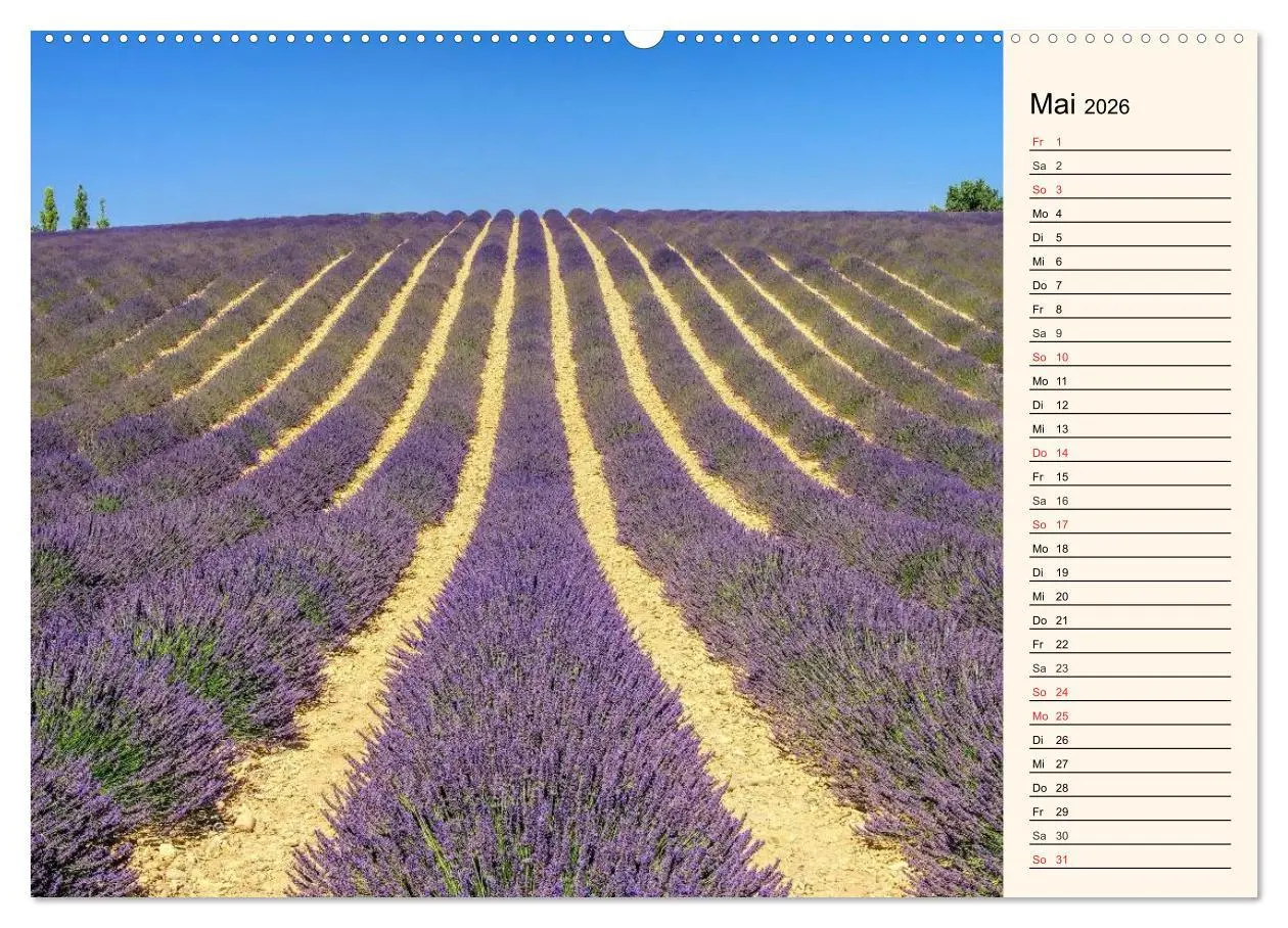 Bild: 9783457980248 | Verzaubernde Provence (Wandkalender 2026 DIN A2 quer), CALVENDO...
