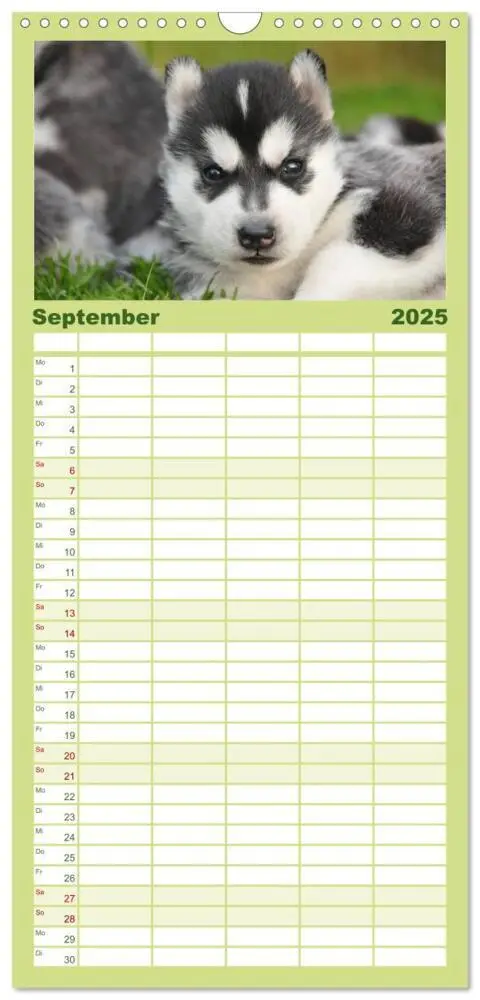 Bild: 9783457110348 | Familienplaner 2025 - Siberian Husky - der Urtyp mit 5 Spalten...