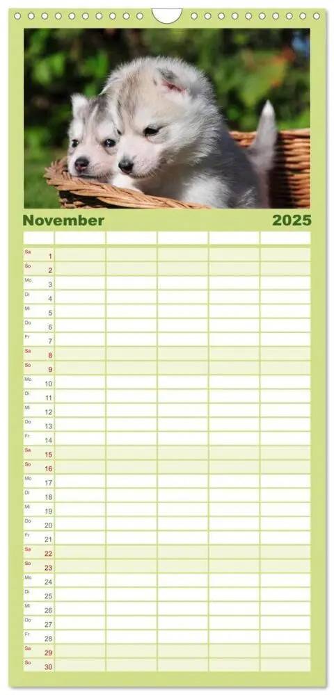 Bild: 9783457110348 | Familienplaner 2025 - Siberian Husky - der Urtyp mit 5 Spalten...