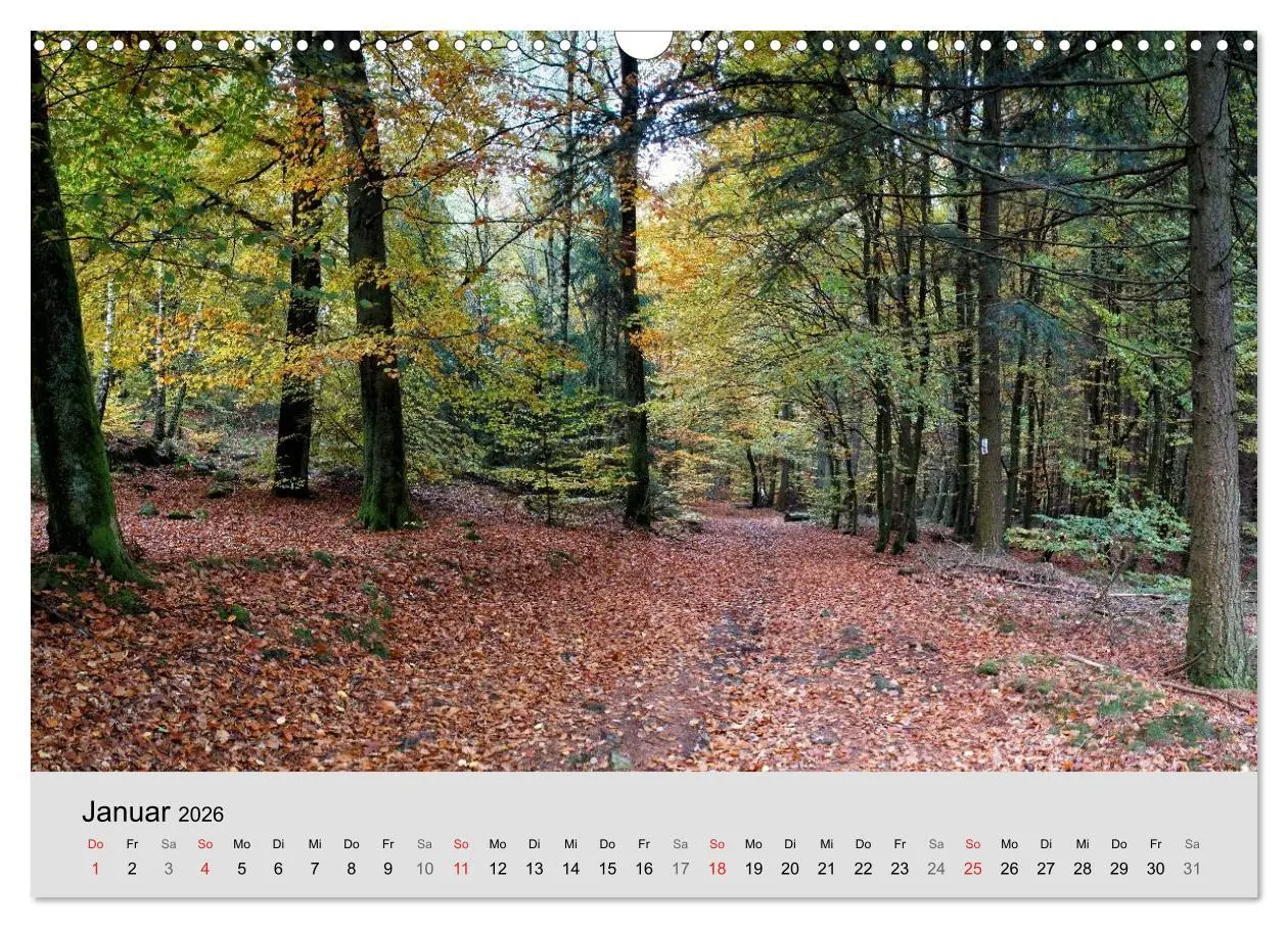 Bild: 9783516060348 | Saarland - unbekannte Schönheit (Wandkalender 2026 DIN A3 quer),...