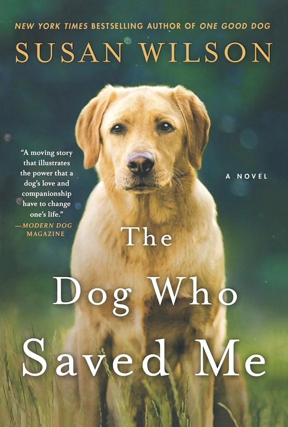 Cover: 9781250080448 | Dog Who Saved Me | Susan Wilson | Taschenbuch | Englisch | 2016