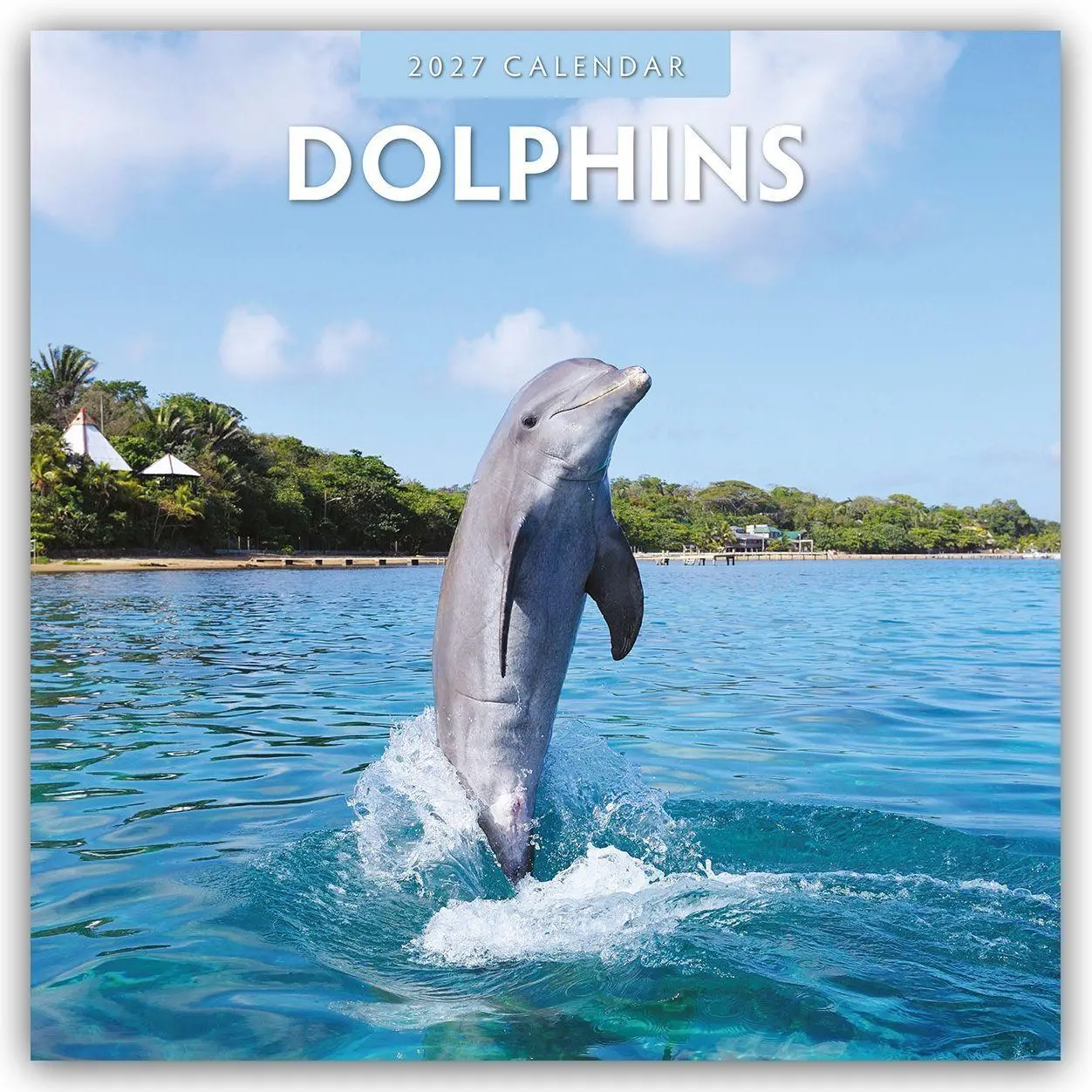 Cover: 9781837010448 | Dolphins - Delfine 2027 - 16-Monatskalender | Robin Red | Kalender
