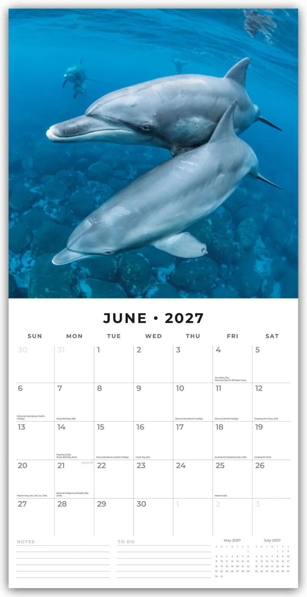 Bild: 9781837010448 | Dolphins - Delfine 2027 - 16-Monatskalender | Robin Red | Kalender