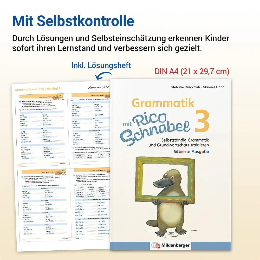 Bild: 9783619320448 | Grammatik mit Rico Schnabel, Klasse 3 - silbierte Ausgabe | Broschüre