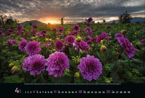 Bild: 9783819300448 | Spirit of Earth 2027 | Verlag Korsch | Kalender | 14 S. | Deutsch
